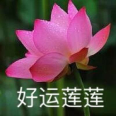 大运河申遗成功十周年特别报道｜十年蝶变 满眼锦绣
